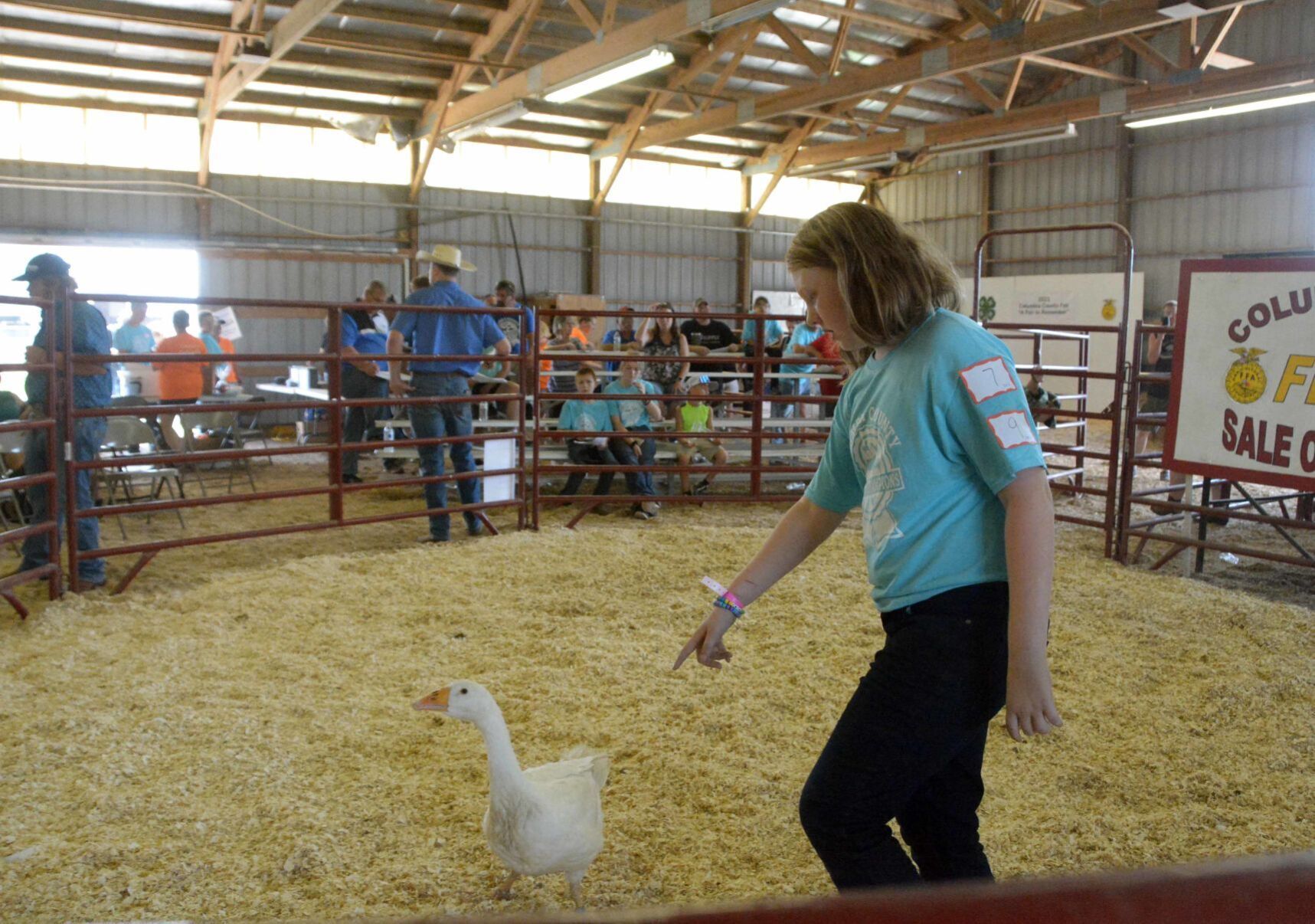 Saturday at the Columbia County Fair